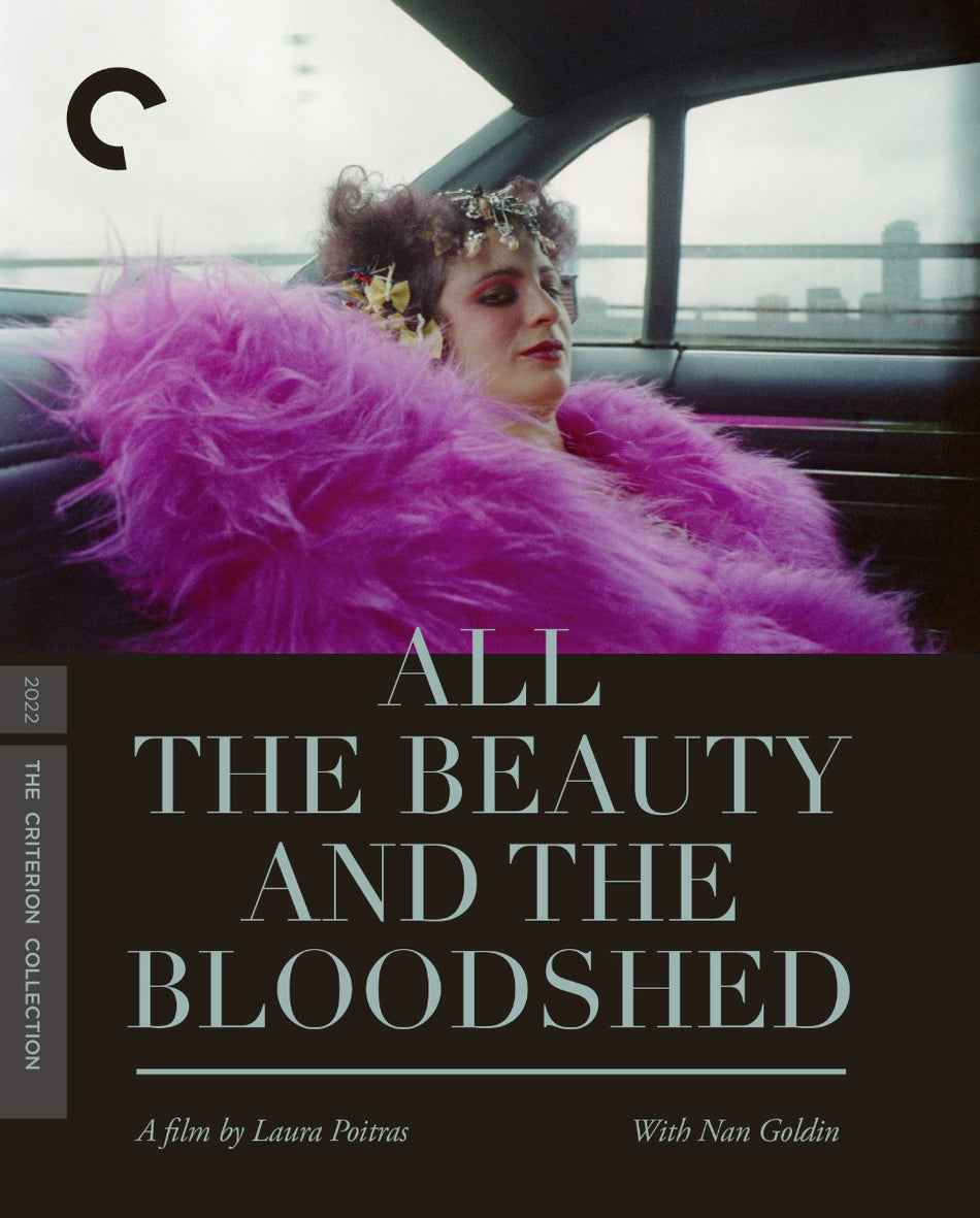 All The Beauty And The Bloodshed Dvd
