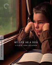 My Life As A Dog Blu-Ray