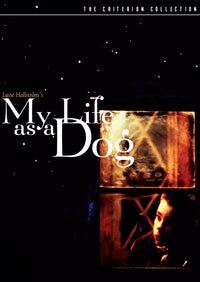 My Life As A Dog Dvd