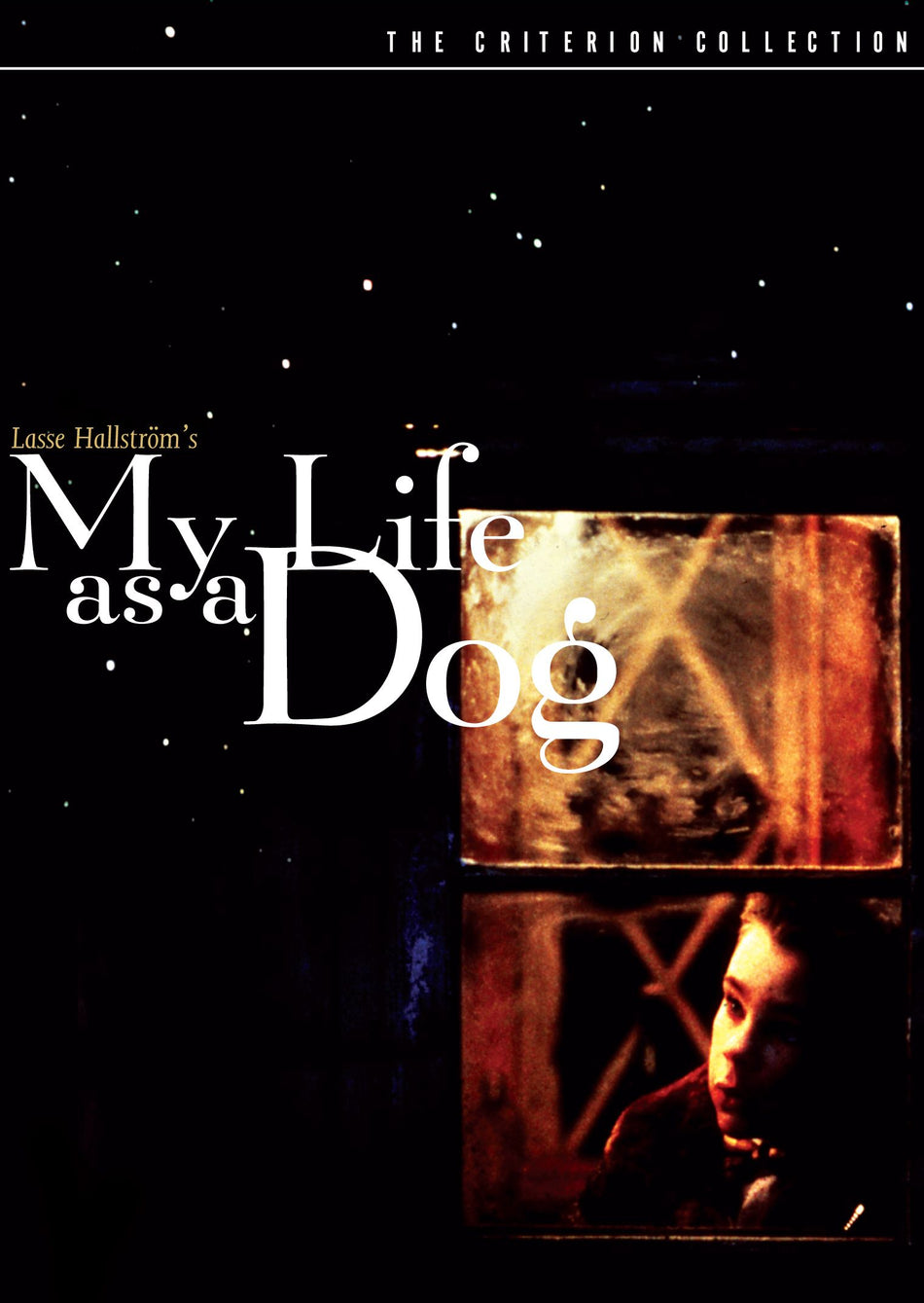 My Life As A Dog Dvd