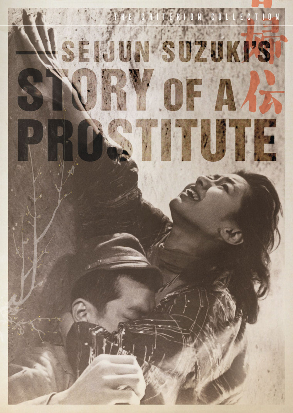Story Of A Prostitute Dvd