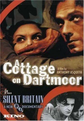 Cottage On Dartmoor
