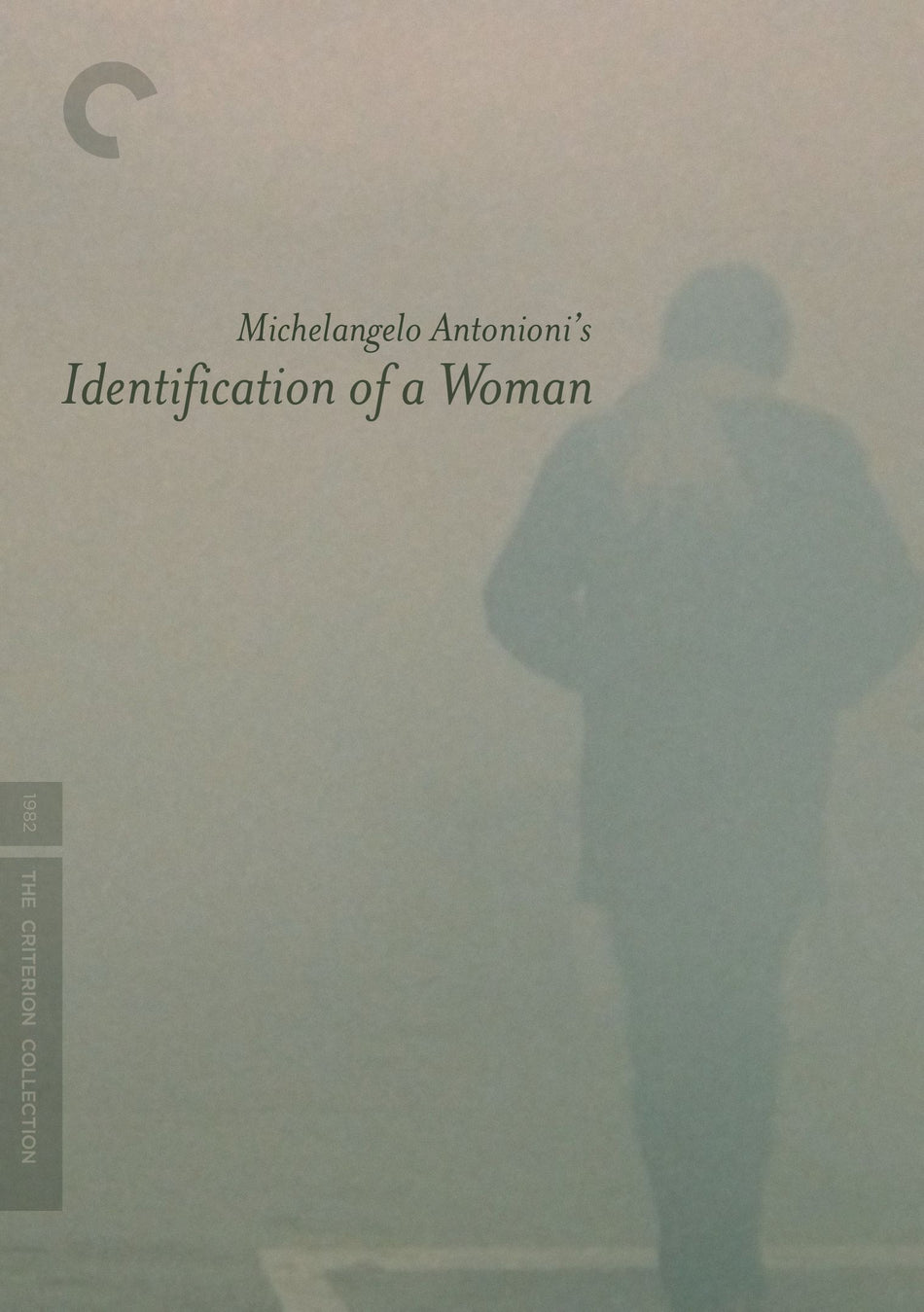 Identification Of A Woman Dvd