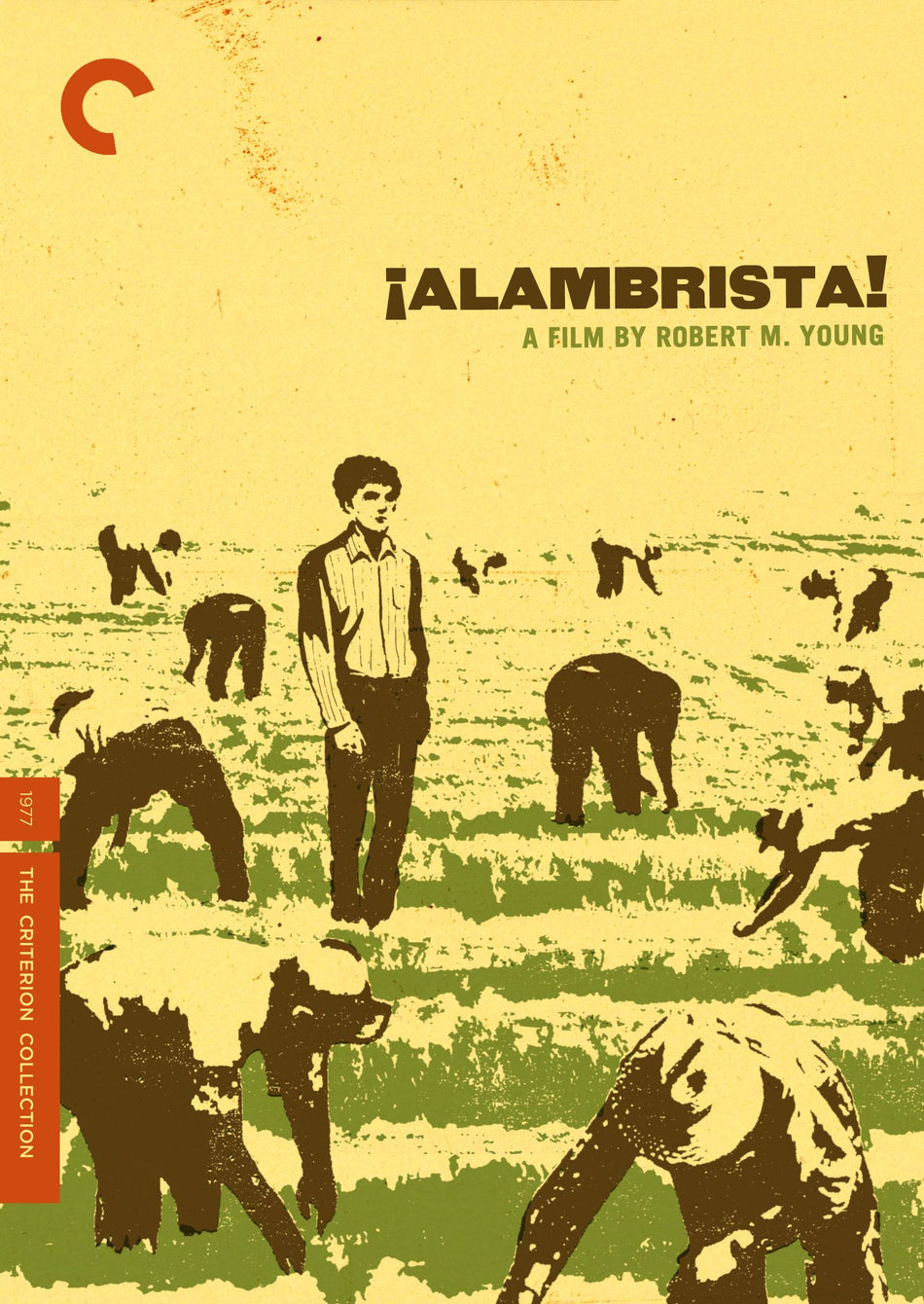 Alambrista! Dvd