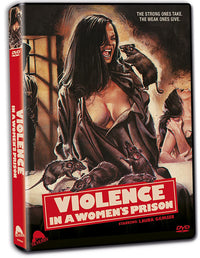Violence In A Womens Prison