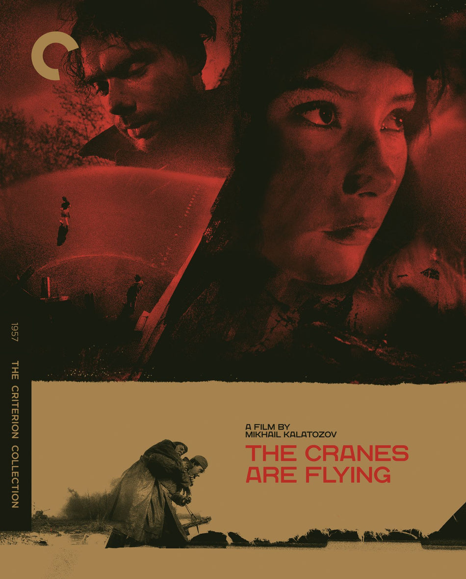 Cranes Are Flying, The Blu-Ray