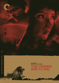Cranes Are Flying, The Dvd