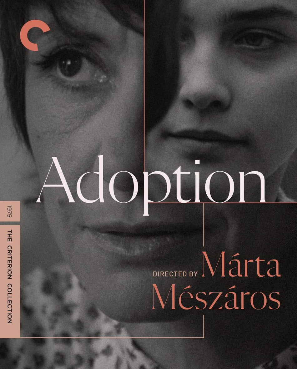 Adoption Blu-Ray