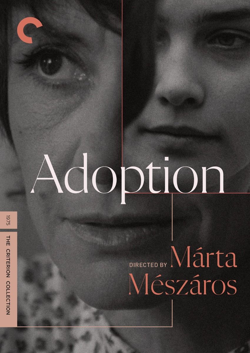 Adoption Dvd
