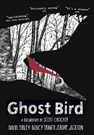 Ghost Bird