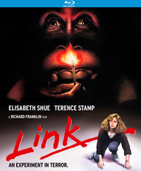 Link (Spec. Edition) (Blu-Ray)
