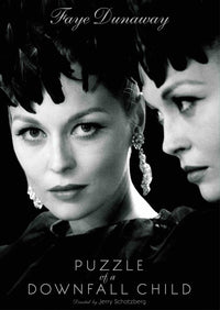 Puzzle Of A Downfall Child