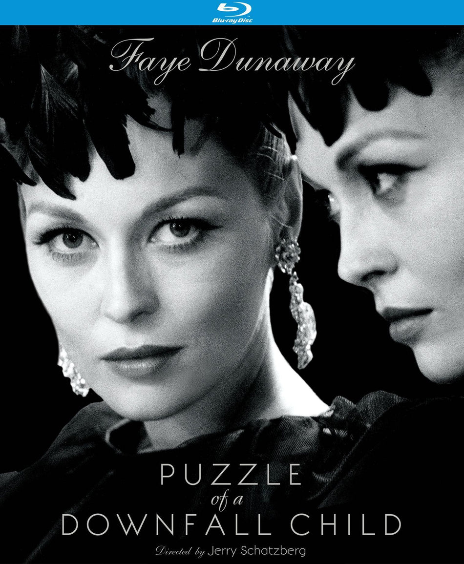 Puzzle Of A Downfall Child (Blu-Ray)