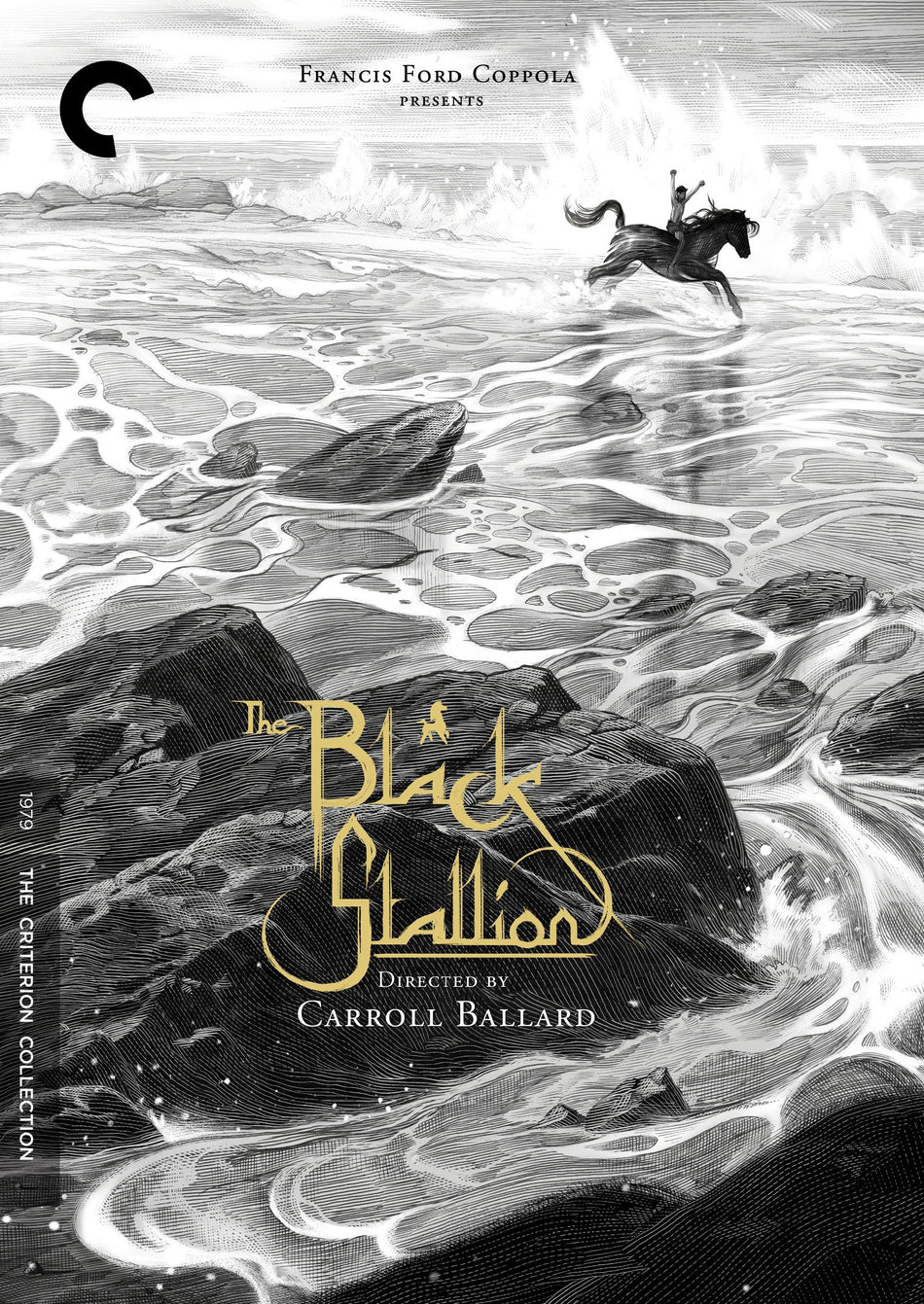 Black Stallion, The Dvd