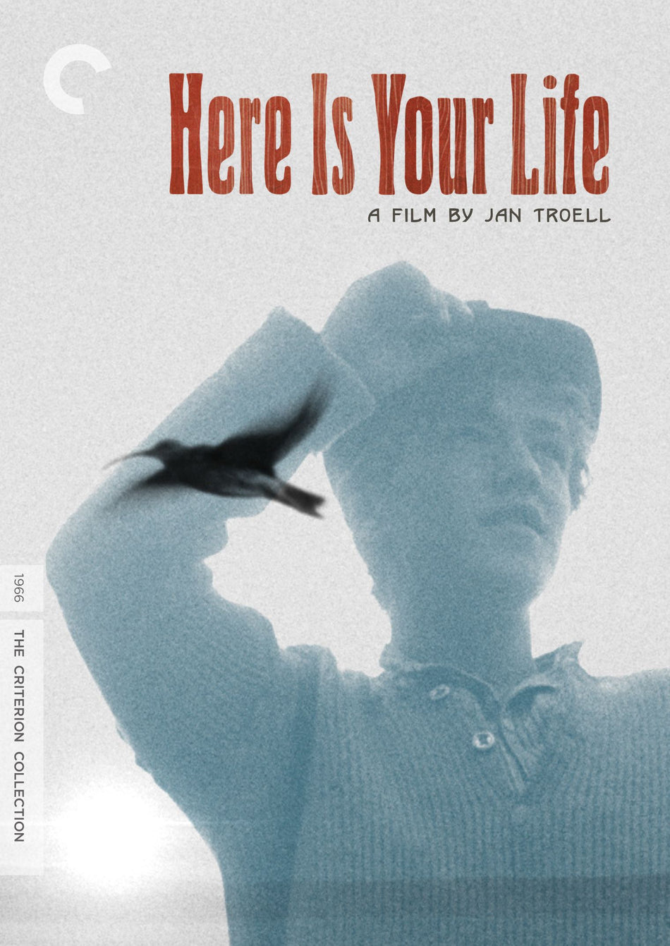 Here Is Your Life Dvd