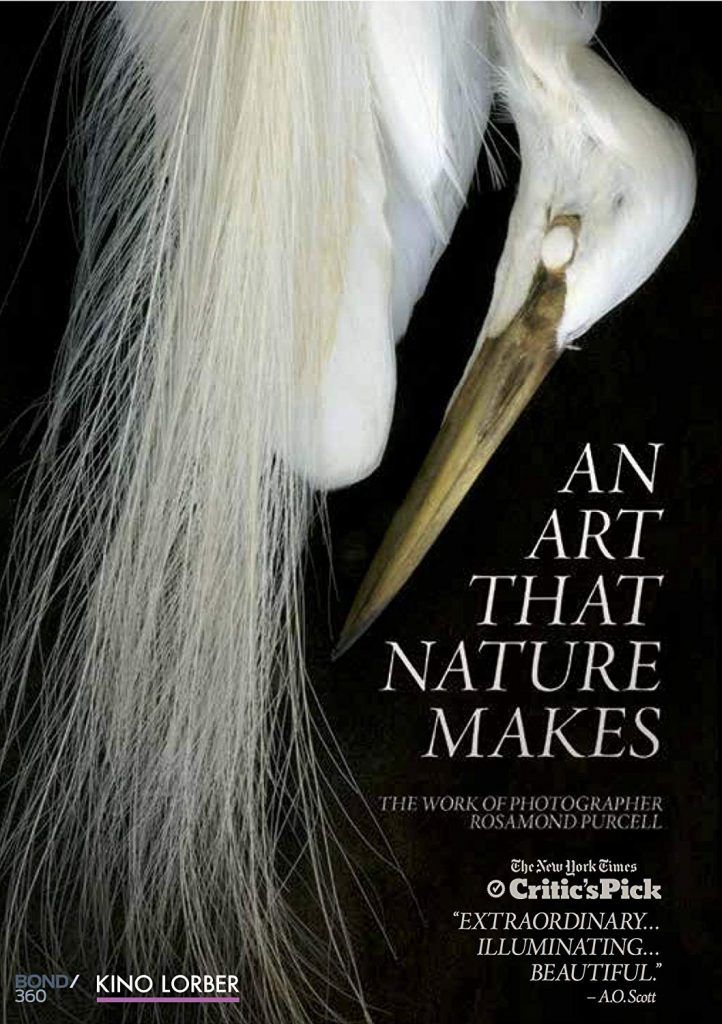 Art That Nature Makes