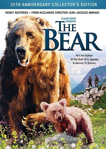 Bear, The