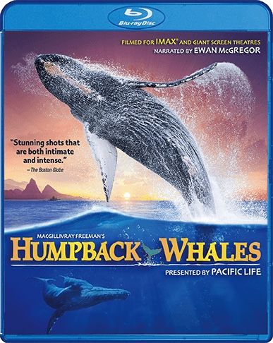 Imax: Humpback Whales (Blu-Ray)