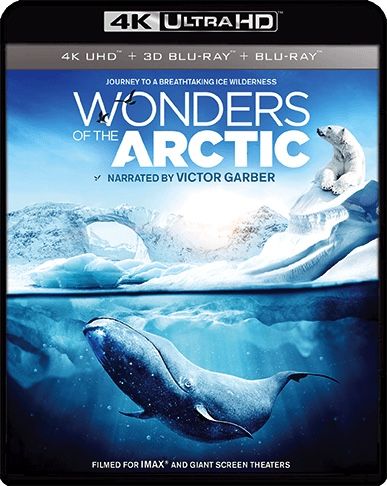 Imax: Wonders Of The Arctic (UHD-4K) (Blu-Ray)
