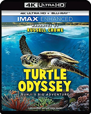 Turtle Odyssey (UHD-4K) (Blu-Ray)