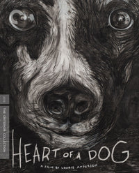 Heart Of A Dog Blu-Ray