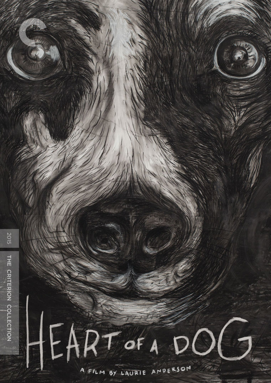 Heart Of A Dog Dvd
