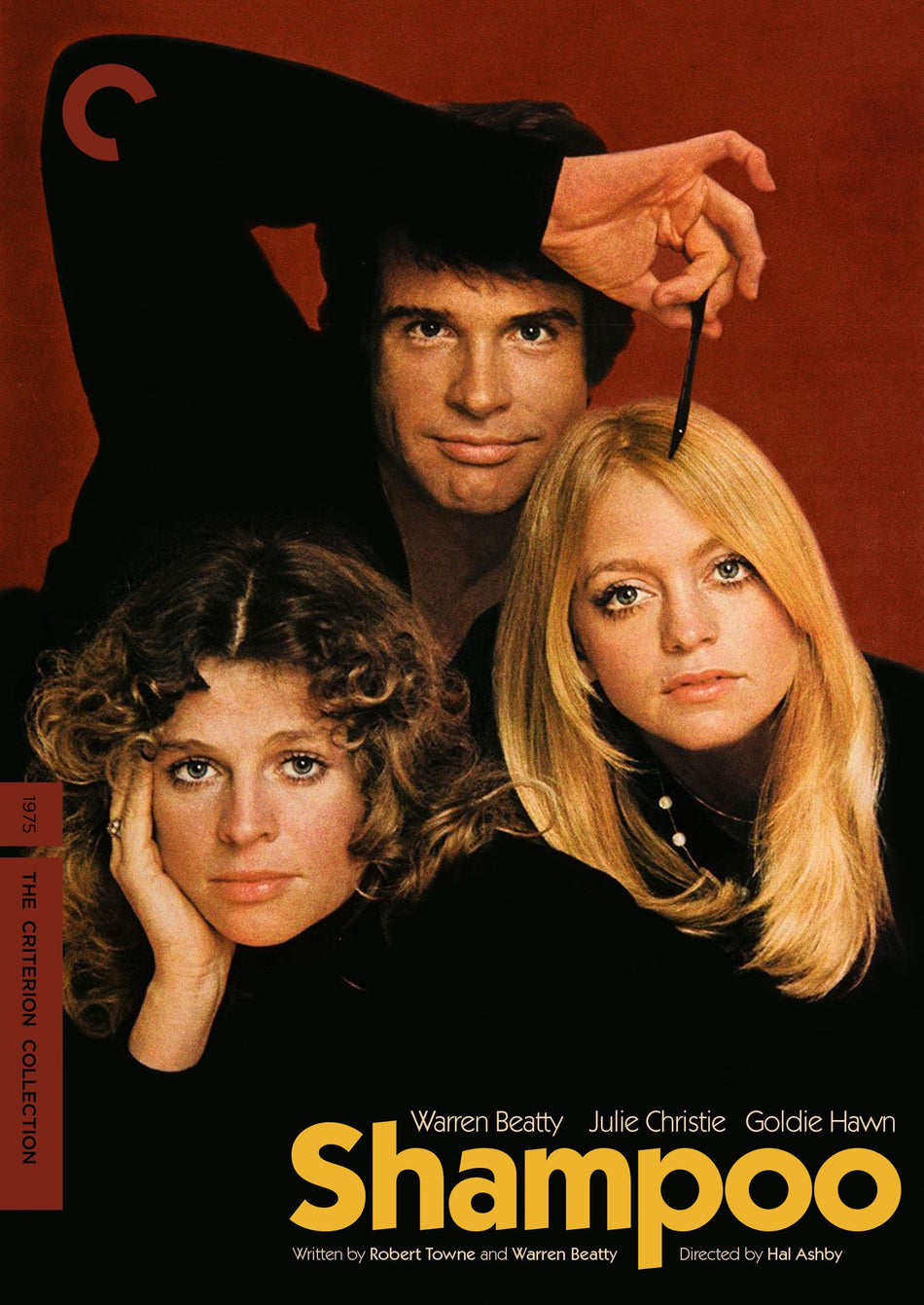 Shampoo Dvd