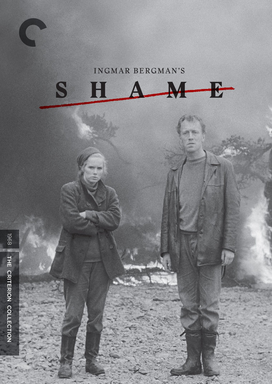 Shame Dvd