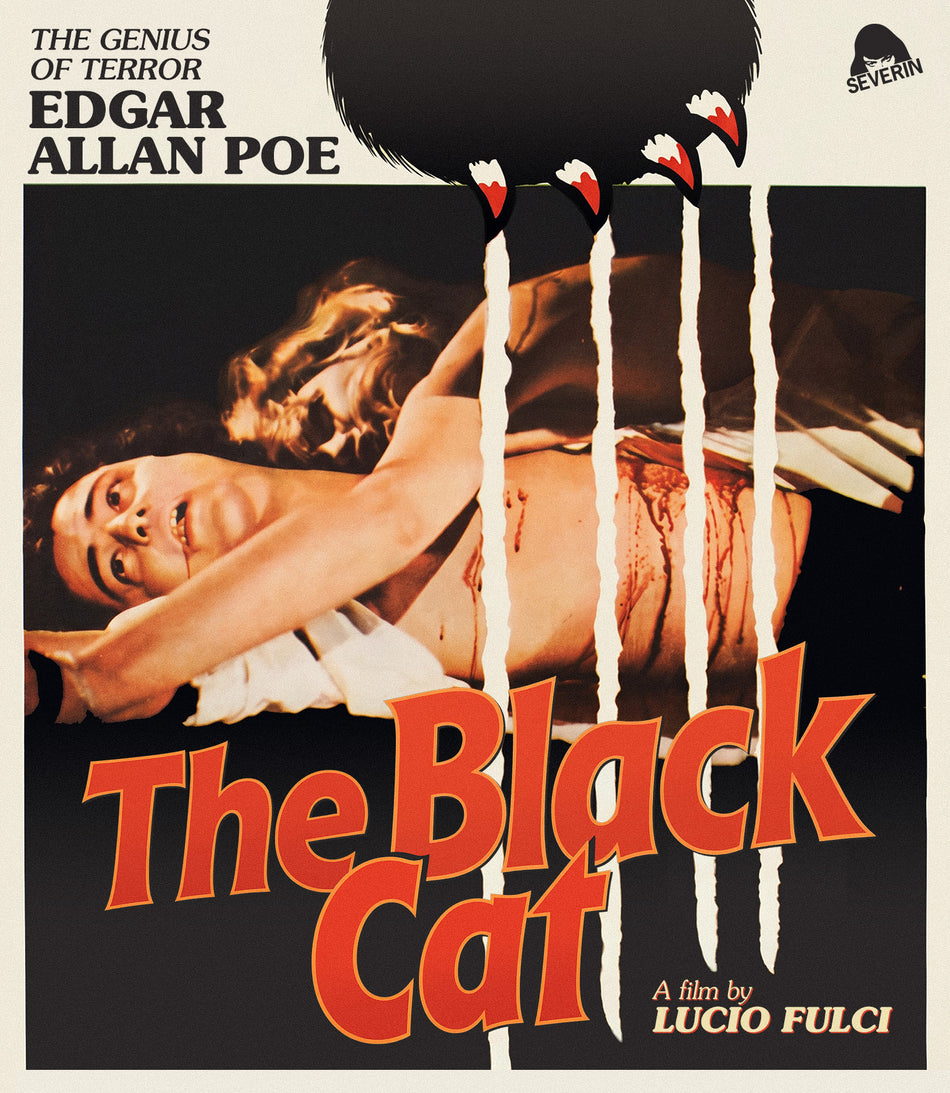 Black Cat 4K UHD