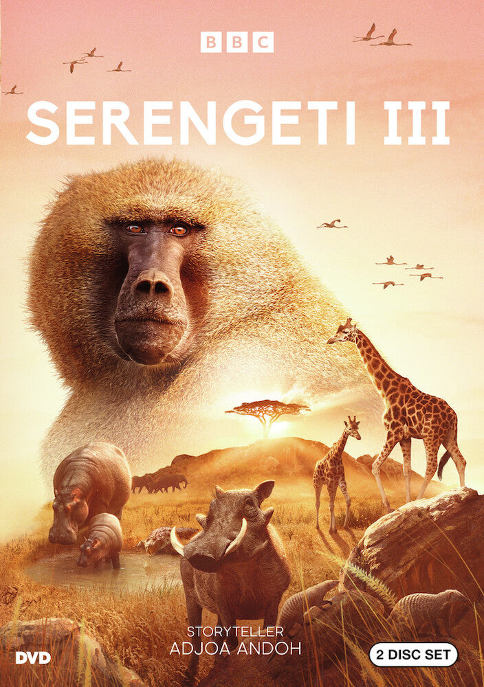 Serengeti Year 3 Dvd