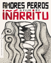 Amores Perros Dvd
