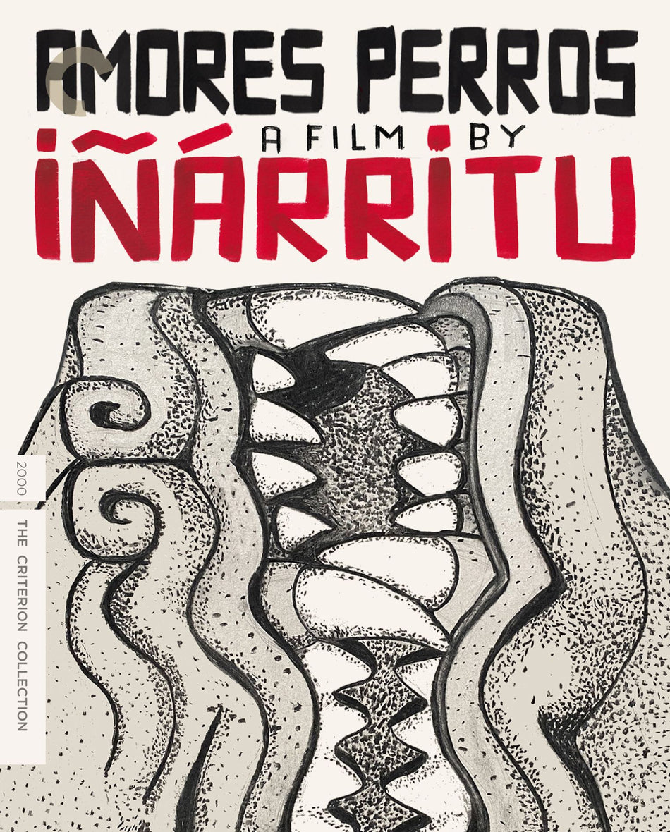 Amores Perros Dvd