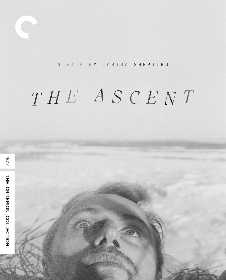 Ascent, The  Dvd