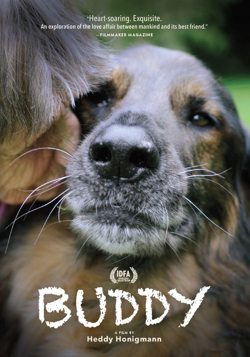 Buddy Dvd
