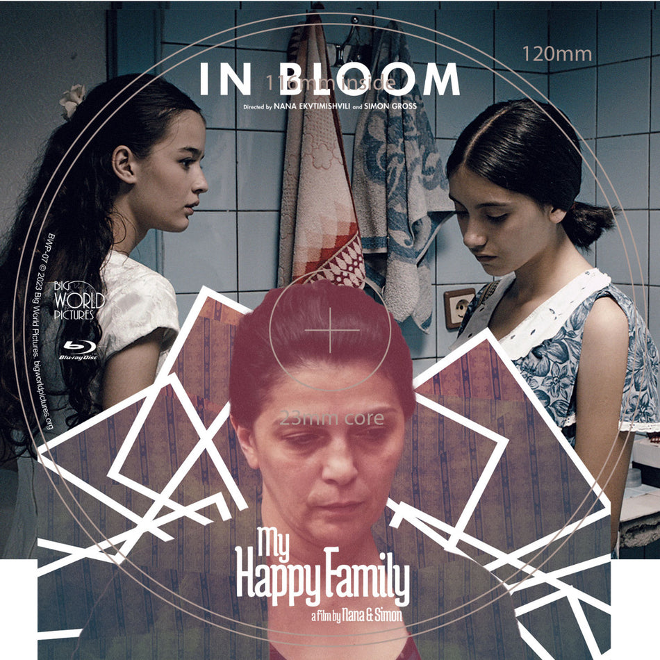 In Bloom + My Happy Family Blu-Ray