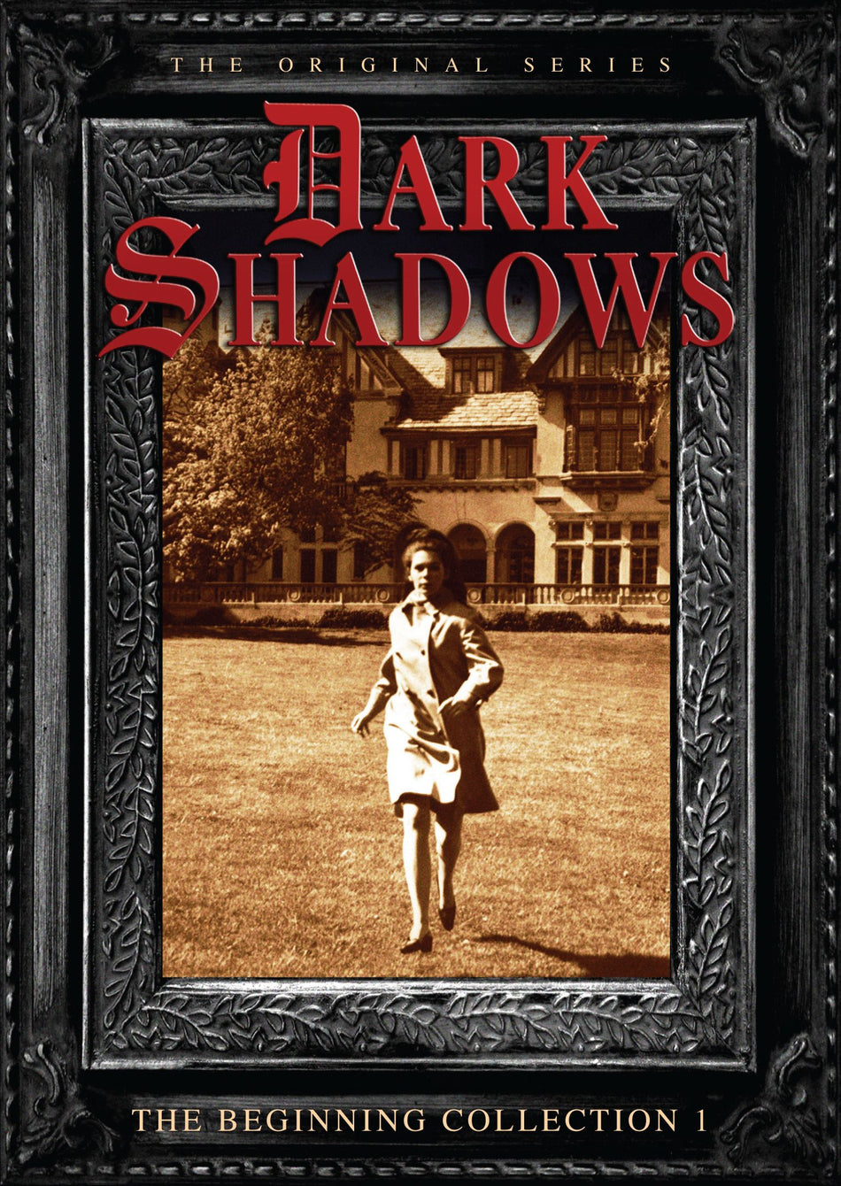 Dark Shadows: The Begininng