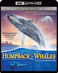 Imax: Humpback Whales (UHD-4K) (Blu-Ray)