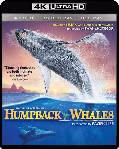Imax: Humpback Whales (UHD-4K) (Blu-Ray)