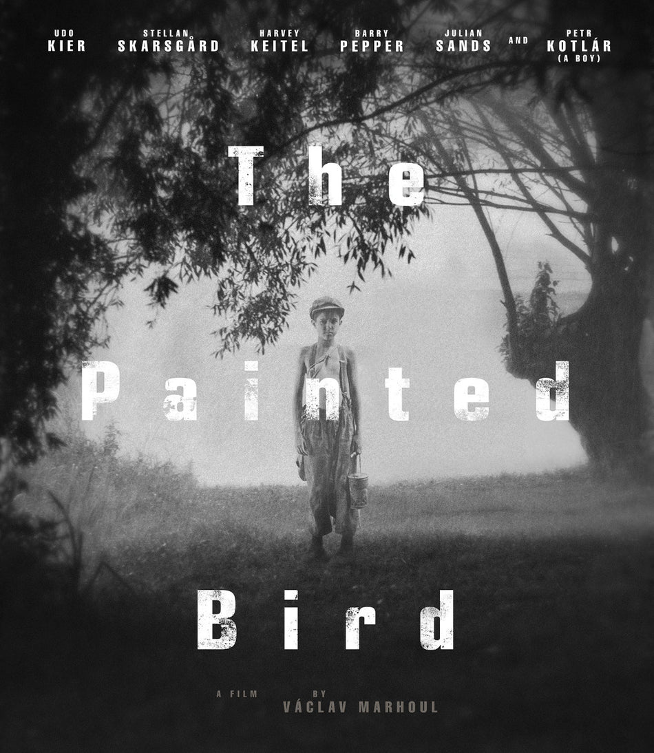 Painted Bird Blu-Ray Standard Edition