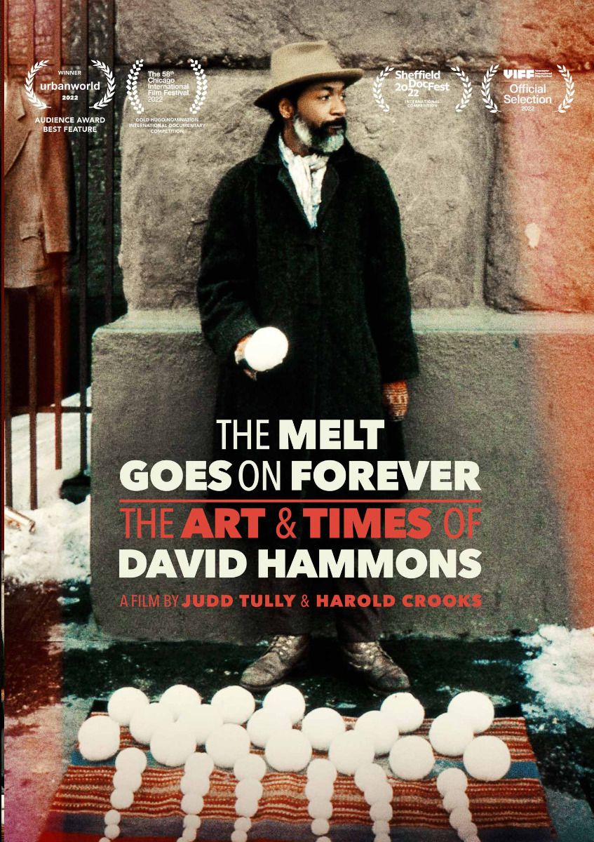 Melt Goes On Forever: The Art & Times Of David Hammons Dvd