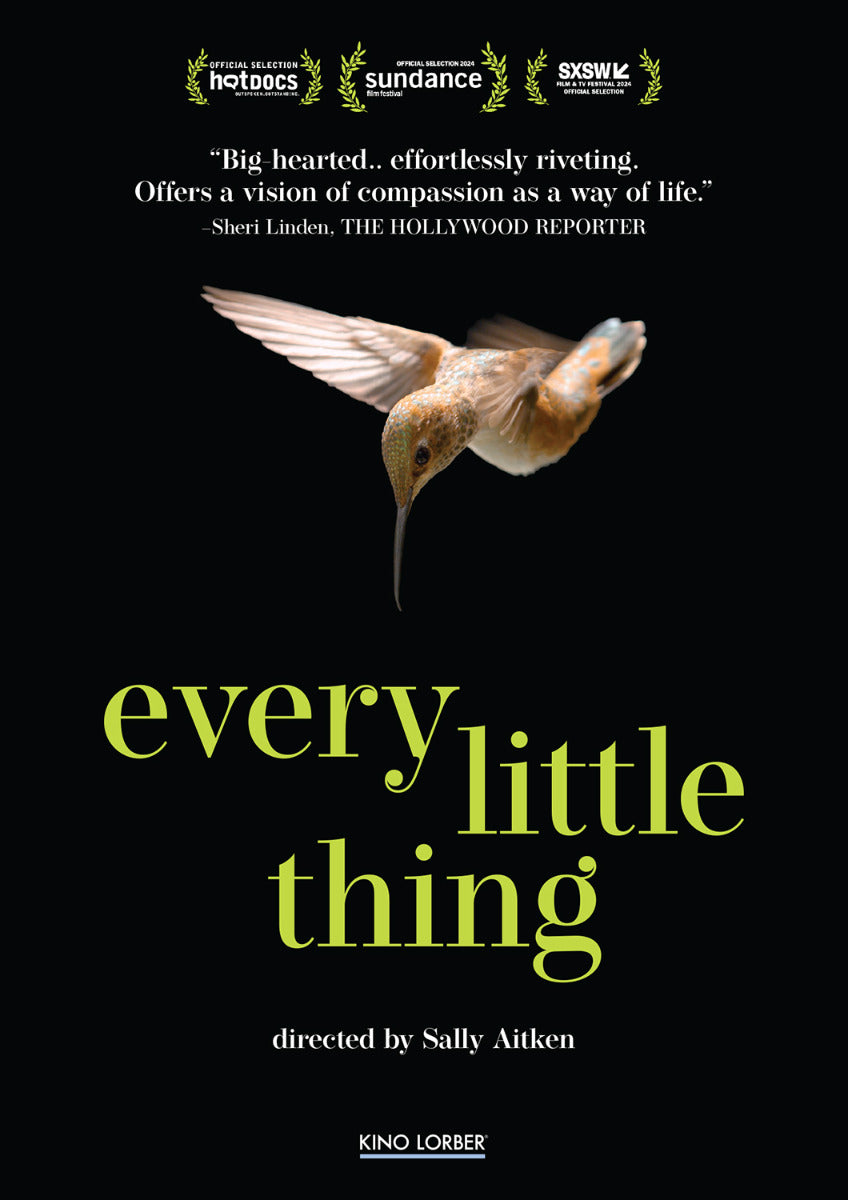 Every Little Thing Dvd