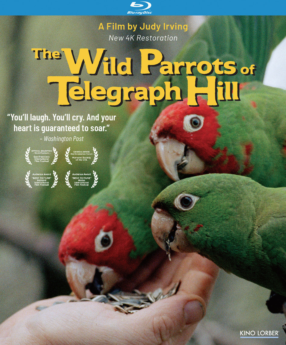 Wild Parrots Of Telegraph Hill Bluray