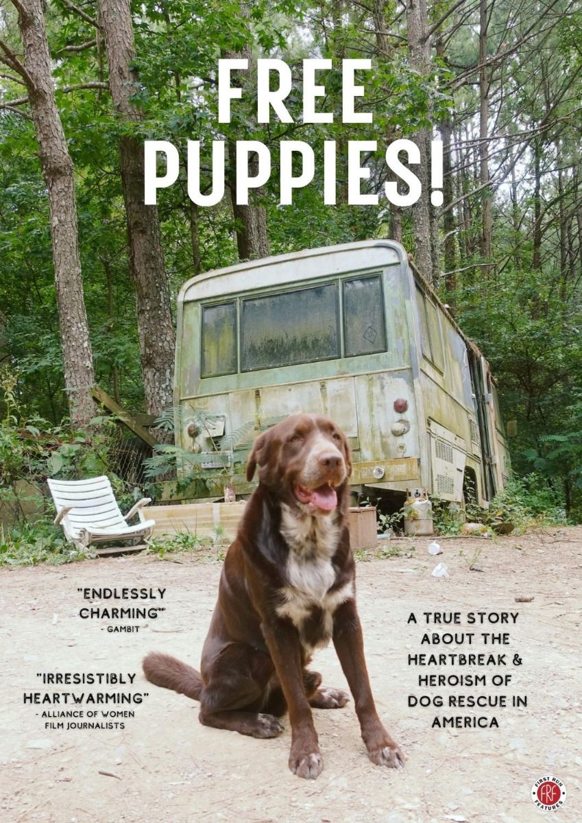 Free Puppies! Dvd (N/A In Pq)