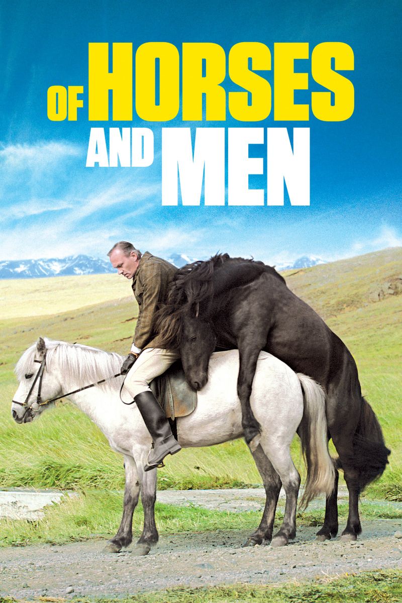 Of Horses And Men  Dvd