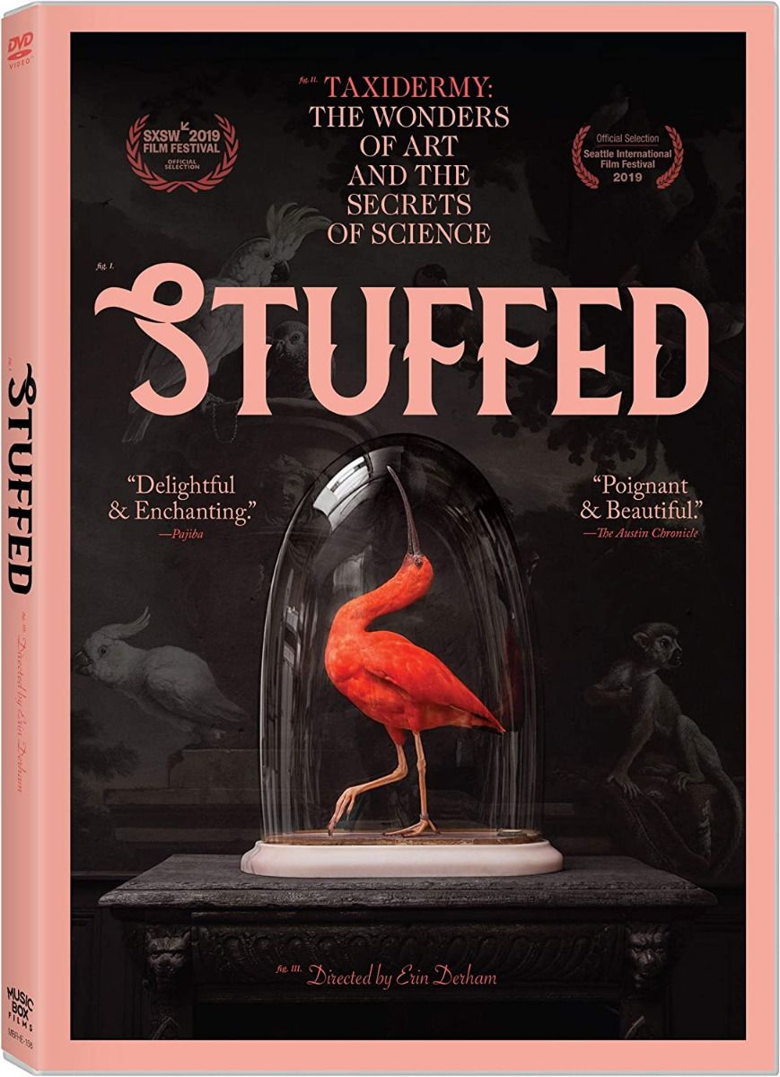 Stuffed  Dvd