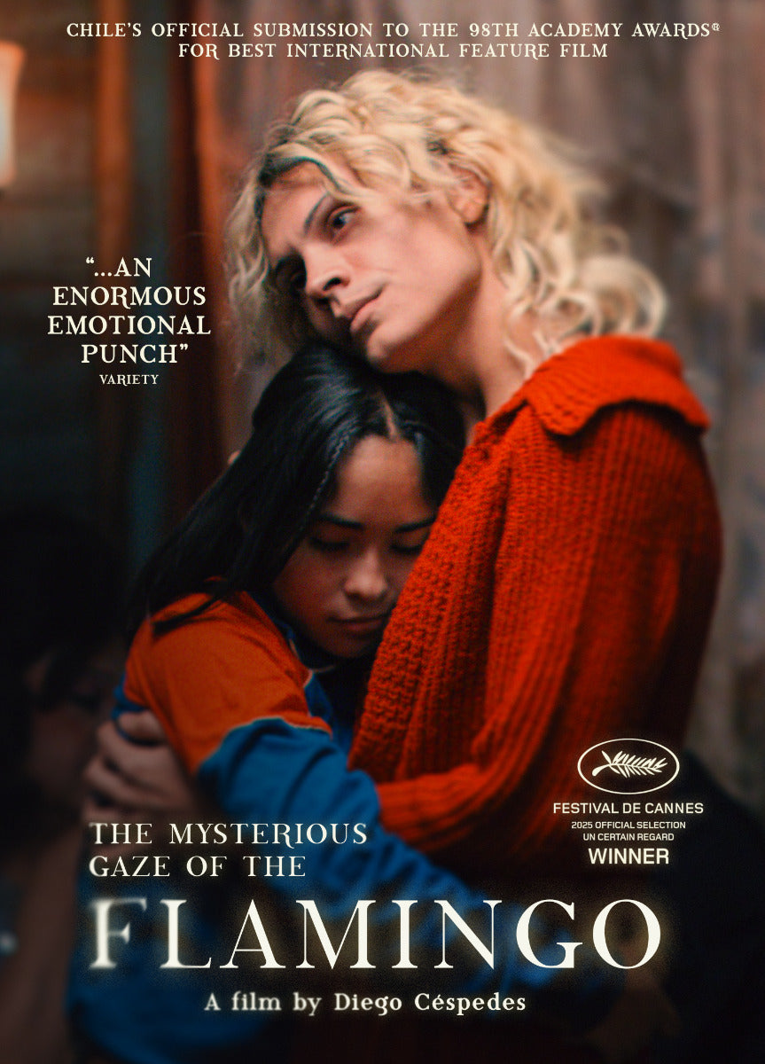 Mysterious Gaze Of The Flamingo Dvd