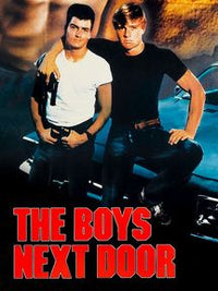 Boys Next Door (Blu-Ray)