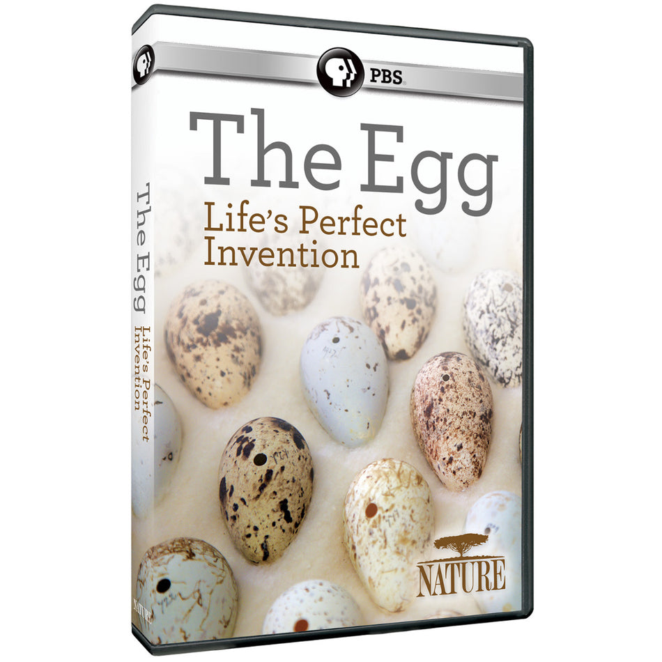 Nature: The Egg: Lifes Perfect Invention Dvd