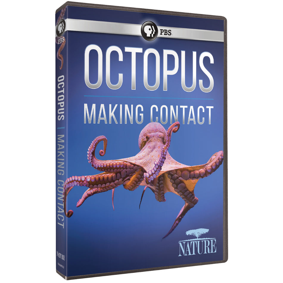 Nature: Octopus: Making Contact Dvd