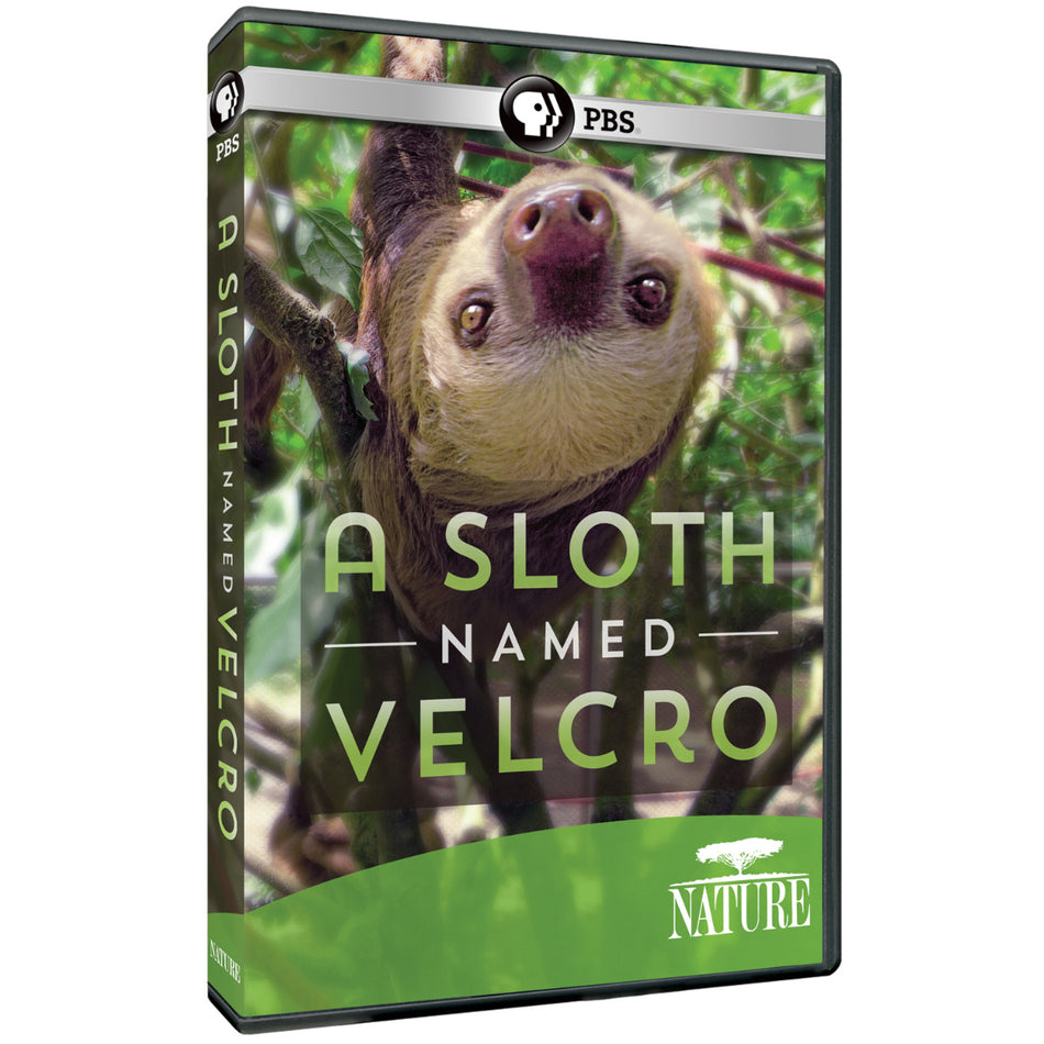 Nature: A Sloth Named Velcro Dvd
